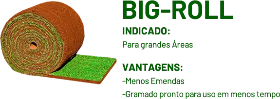 Corte em Placa